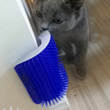 Laden Sie das Bild in den Galerie-Viewer, KATZEN KANTE - 4 VERSCHIEDENE FARBEN