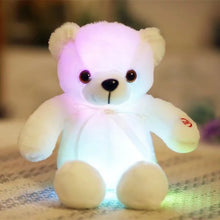 Laden Sie das Bild in den Galerie-Viewer, LED-Teddy - Plüschtier 30cm/50cm