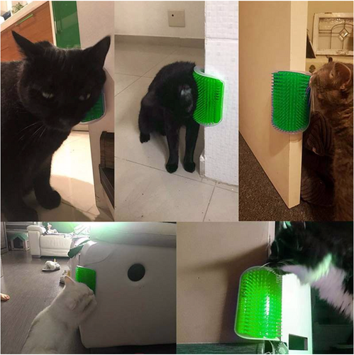 KATZEN KANTE - 4 VERSCHIEDENE FARBEN
