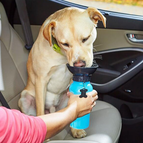 ANGEBOT Hundetrinkflasche 'Drink-Dog'