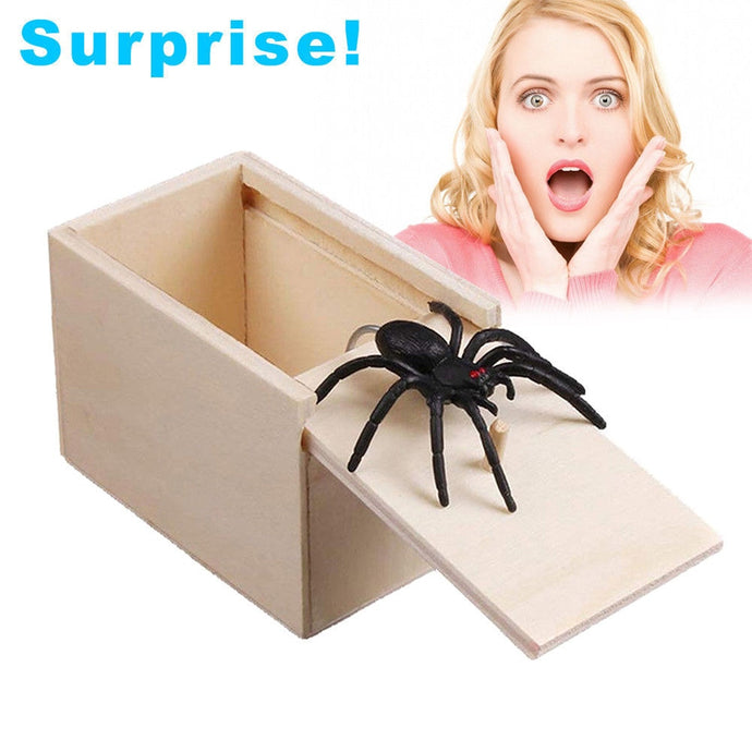 Überraschungs Box mit Spinne